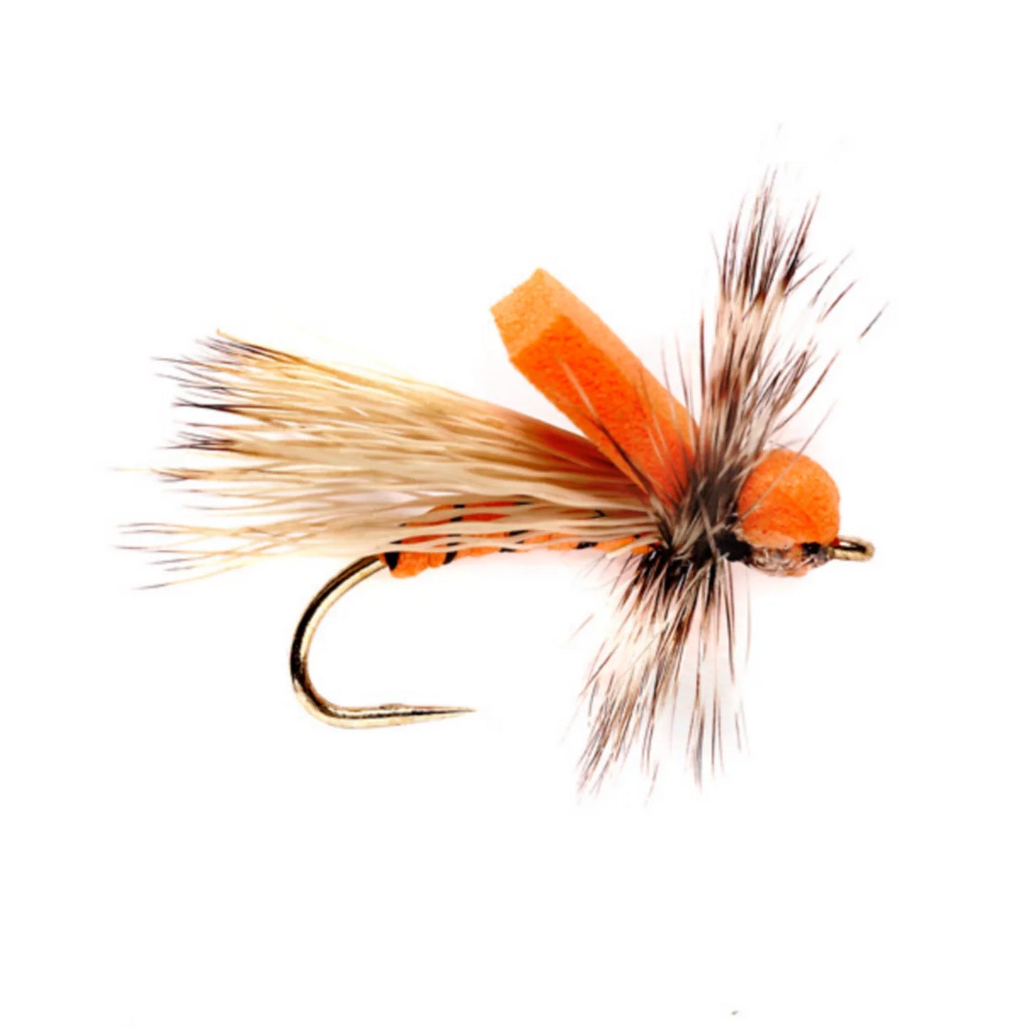 ORANGE,10