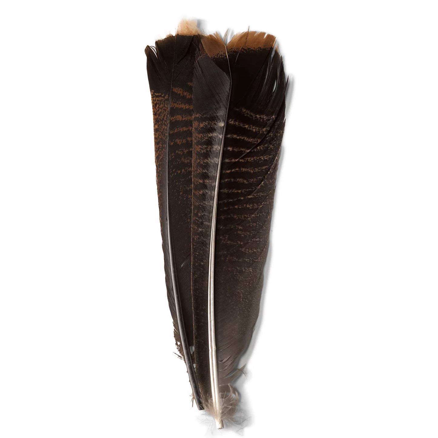 Orvis Mottled Turkey Feathers