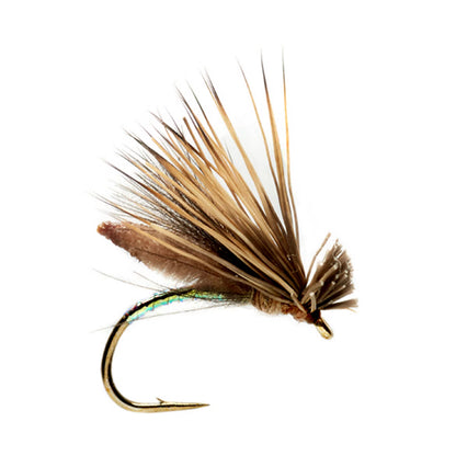 Orvis Palomino Caddis