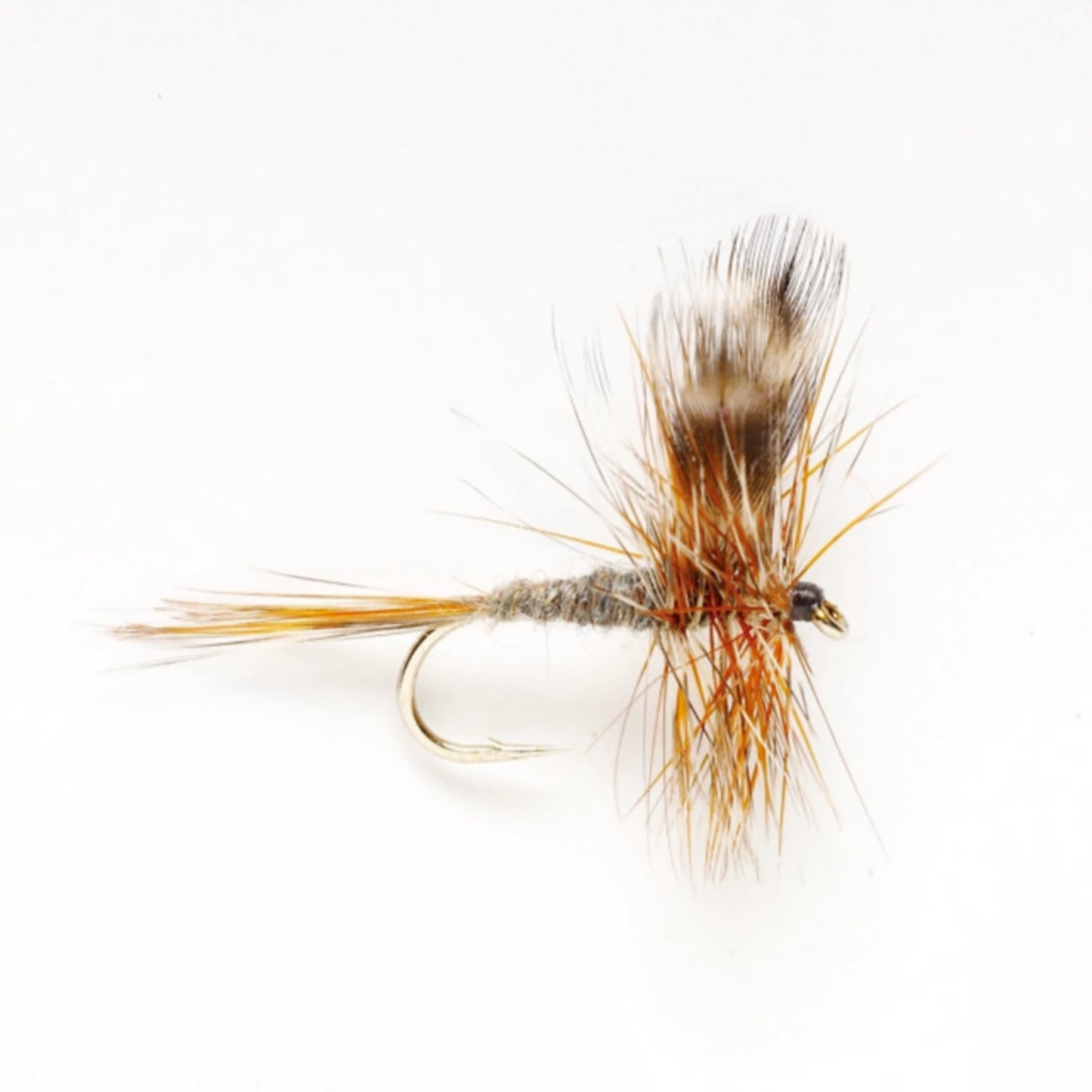 Orvis Adams