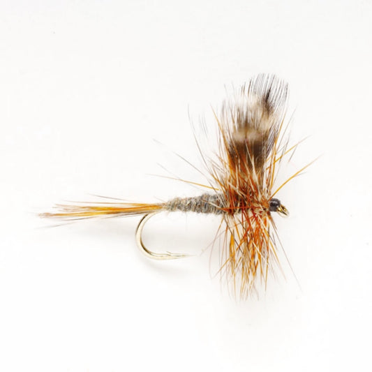 Orvis Adams