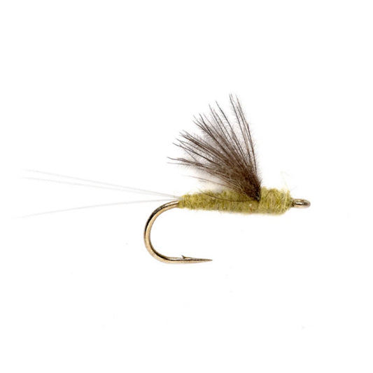 Orvis RS2