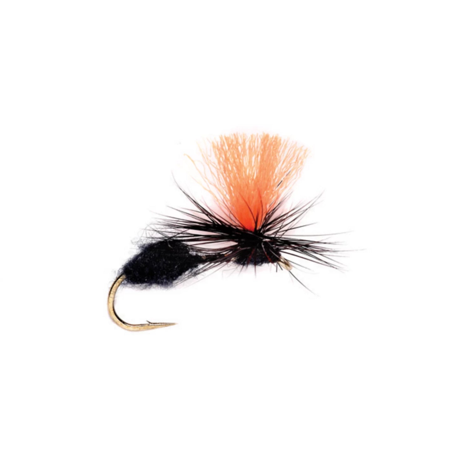 BLACK,10