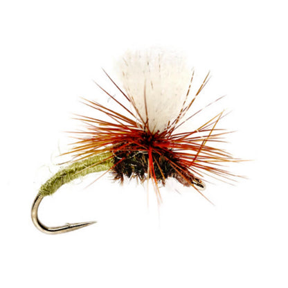 BLUE WING OLIVE,10