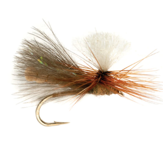 Orvis NBK Caddis Dry