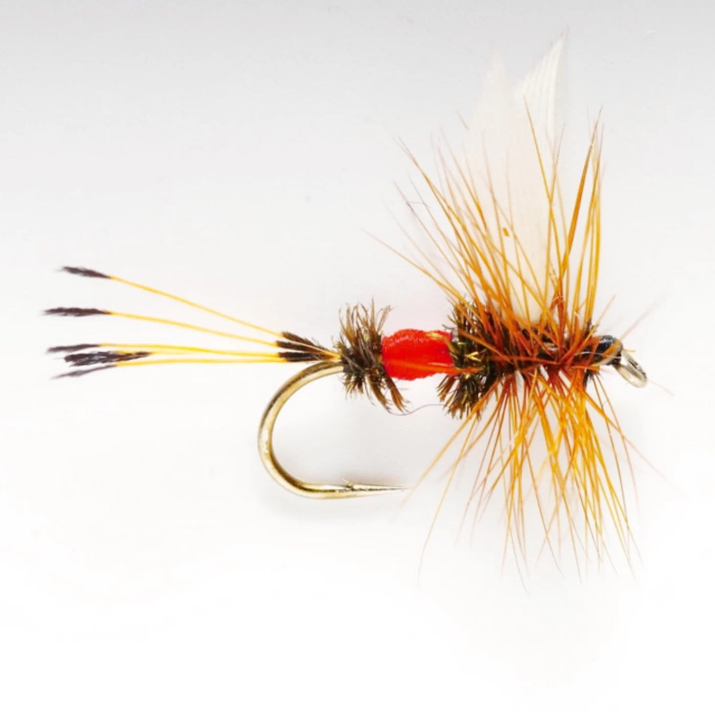 Orvis Royal Coachman