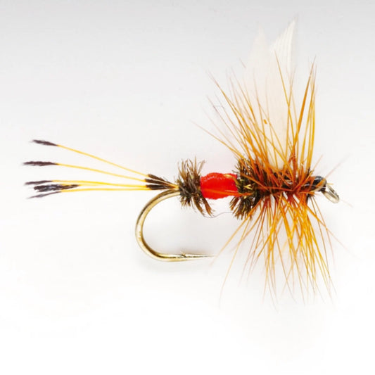 Orvis Royal Coachman
