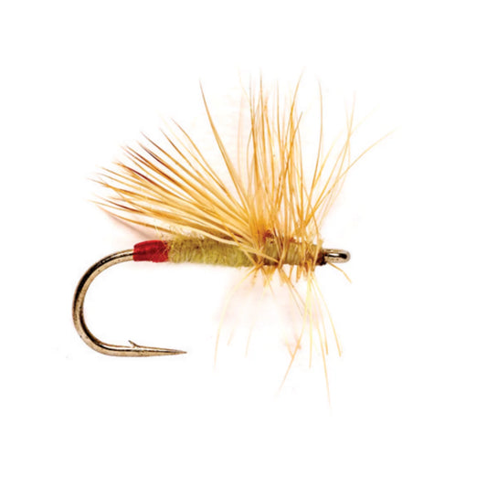 Orvis Yellow Sally