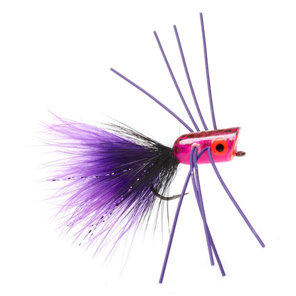 PURPLE,8