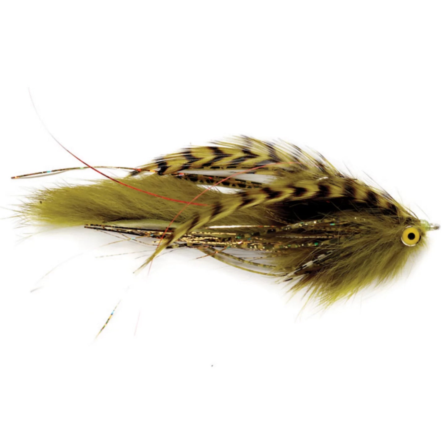 OLIVE