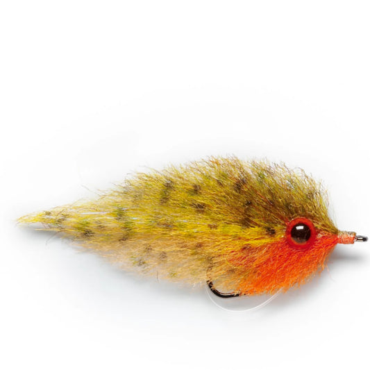 Orvis Puglisi Bluegill