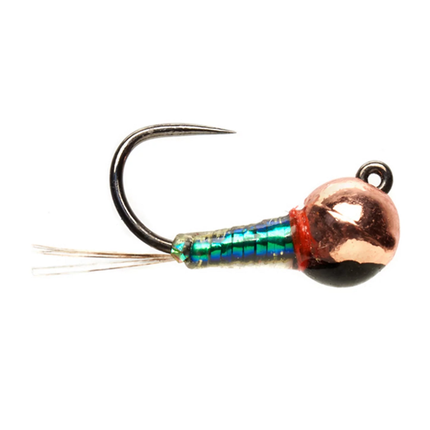 PEACOCK,18