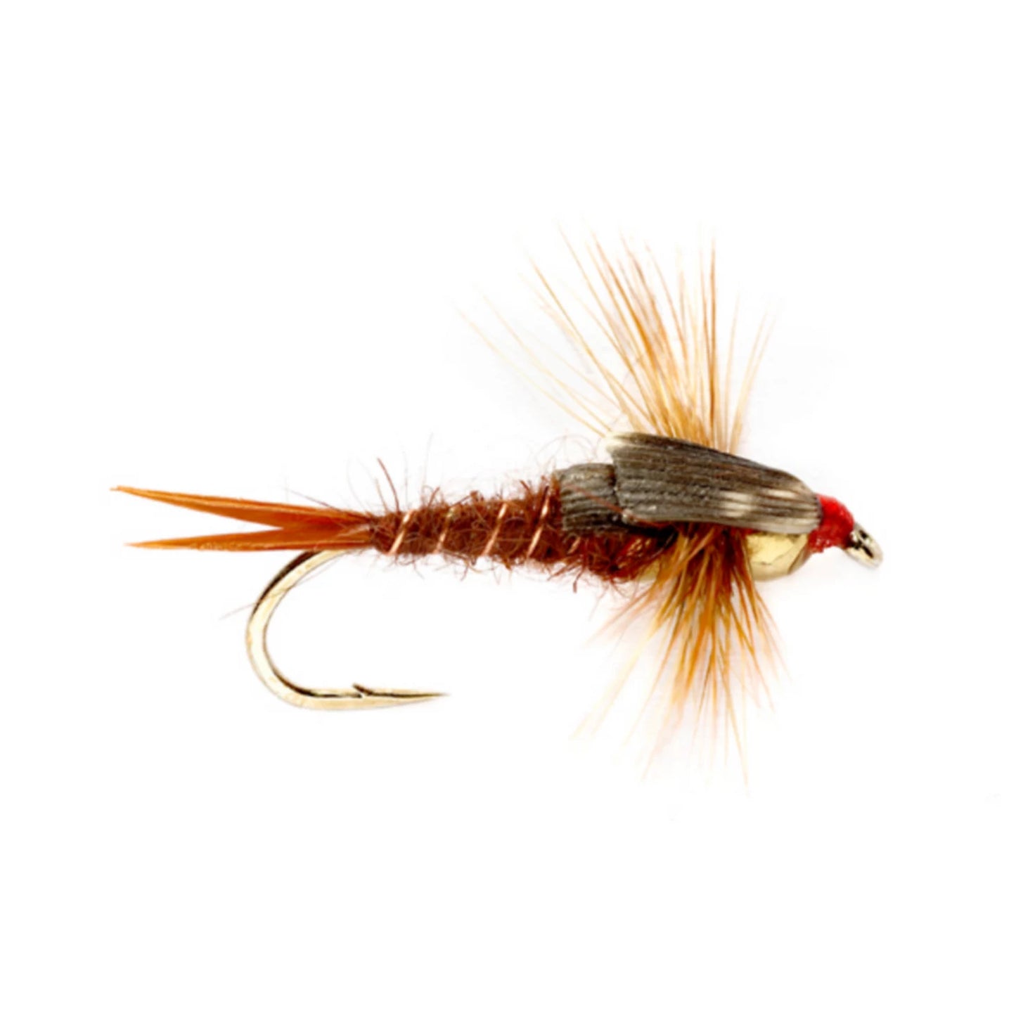 BROWN,8