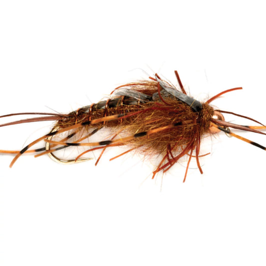 Orvis Tungsten Nemec Stone Nymph