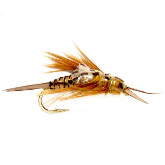 Orvis OE Stonefly Nymph