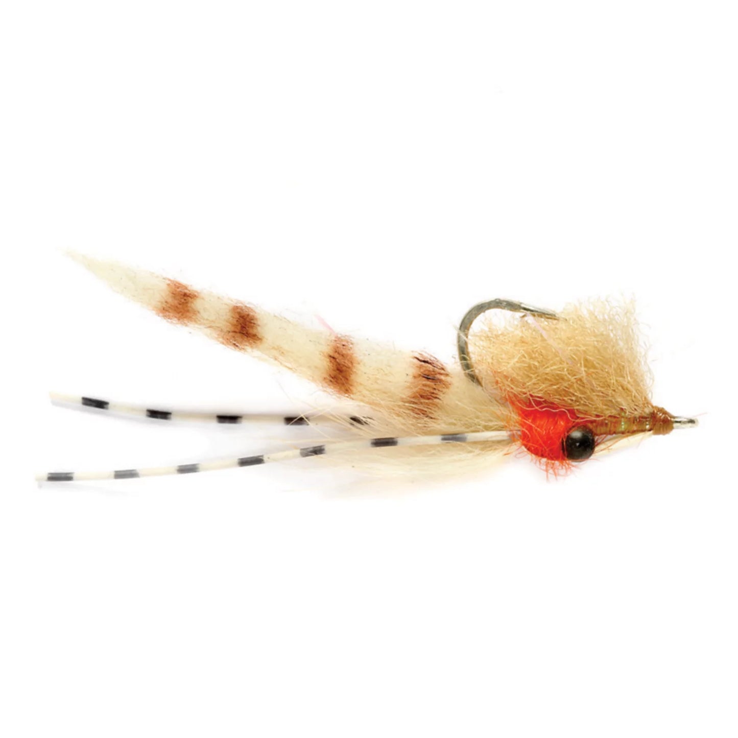 Orvis Bone Voyage