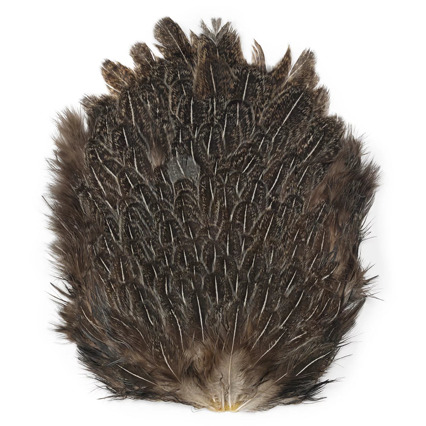 Orvis India Hen Backs