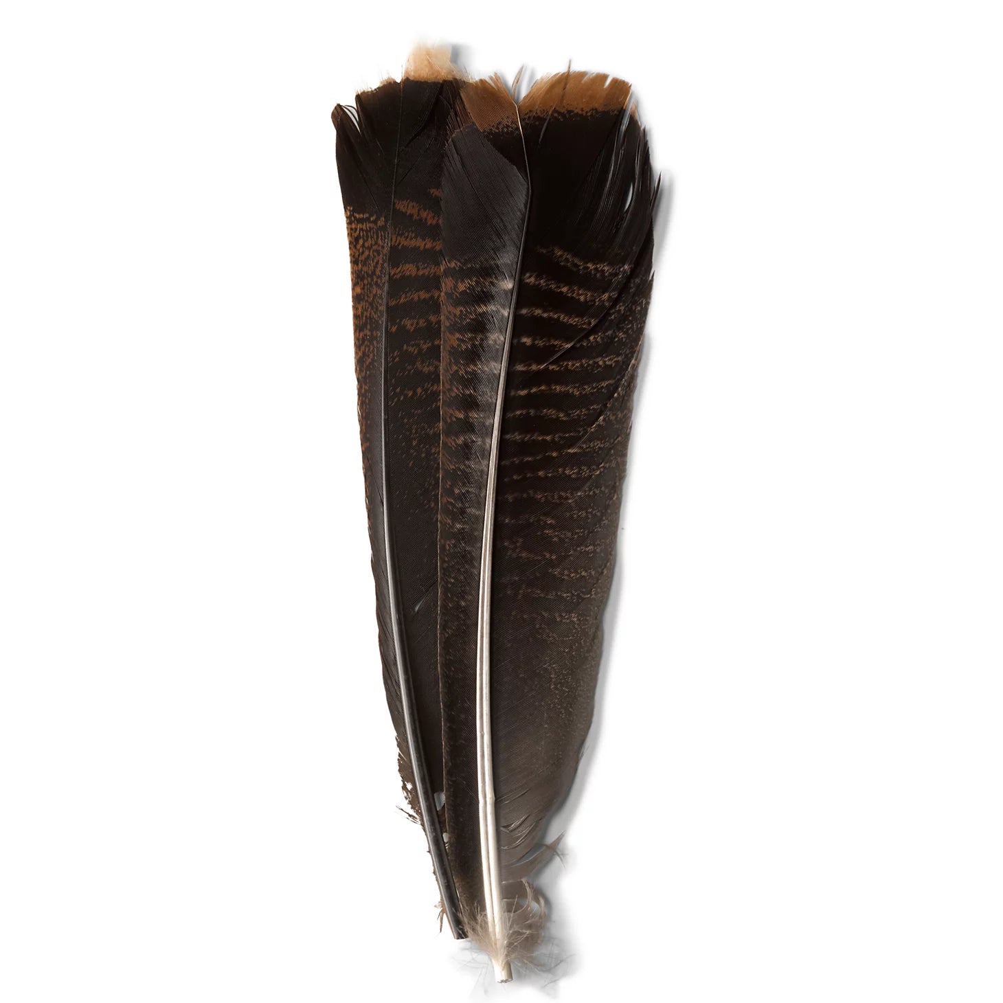 Orvis Mottled Turkey Feathers
