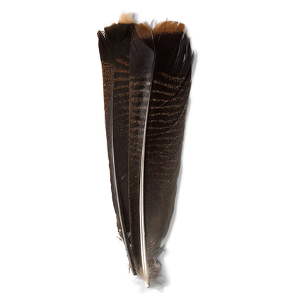 Orvis Mottled Turkey Feathers