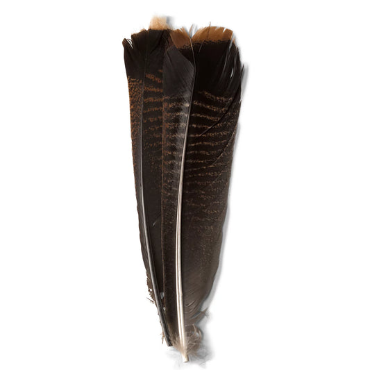 Orvis Mottled Turkey Feathers