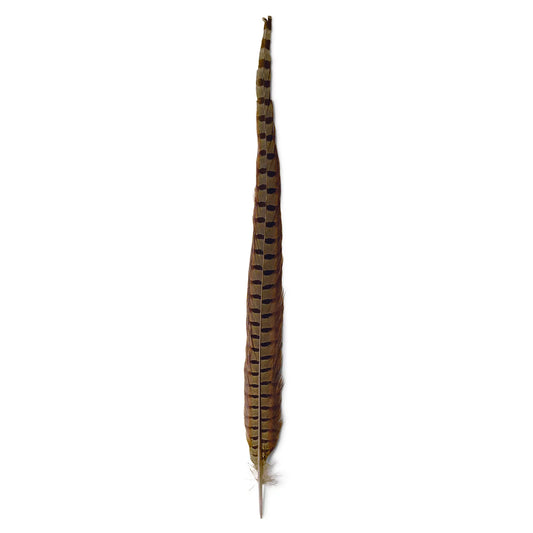 Orvis Pheasant Tail