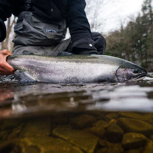 Orvis Orvis Steelhead School At Tailwater Lodge Altmar, NY