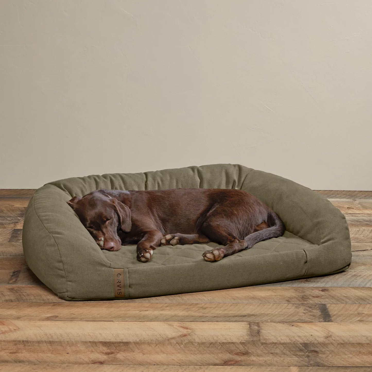 OLIVE,SMALL