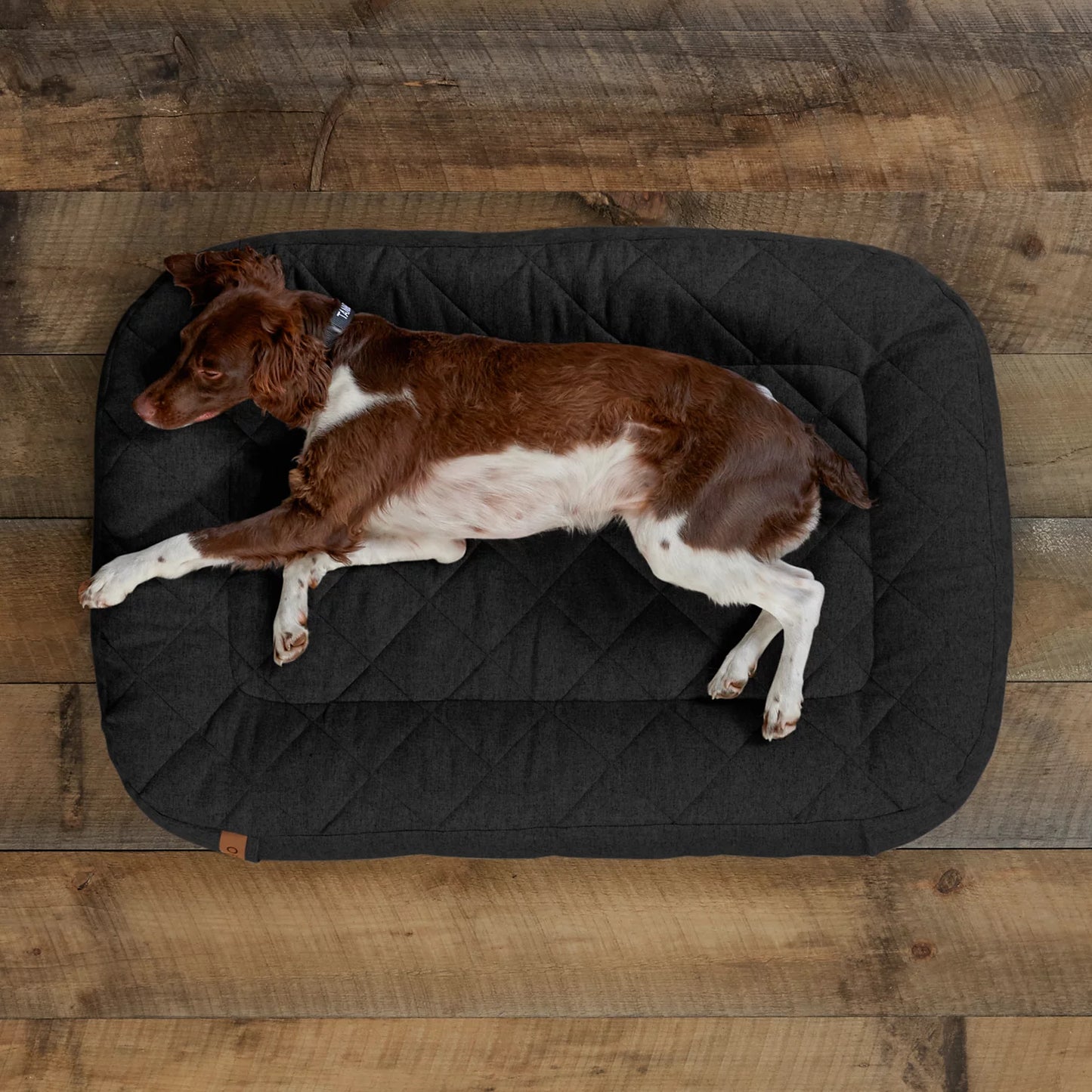 Orvis Memory Foam Lounger Dog Bed