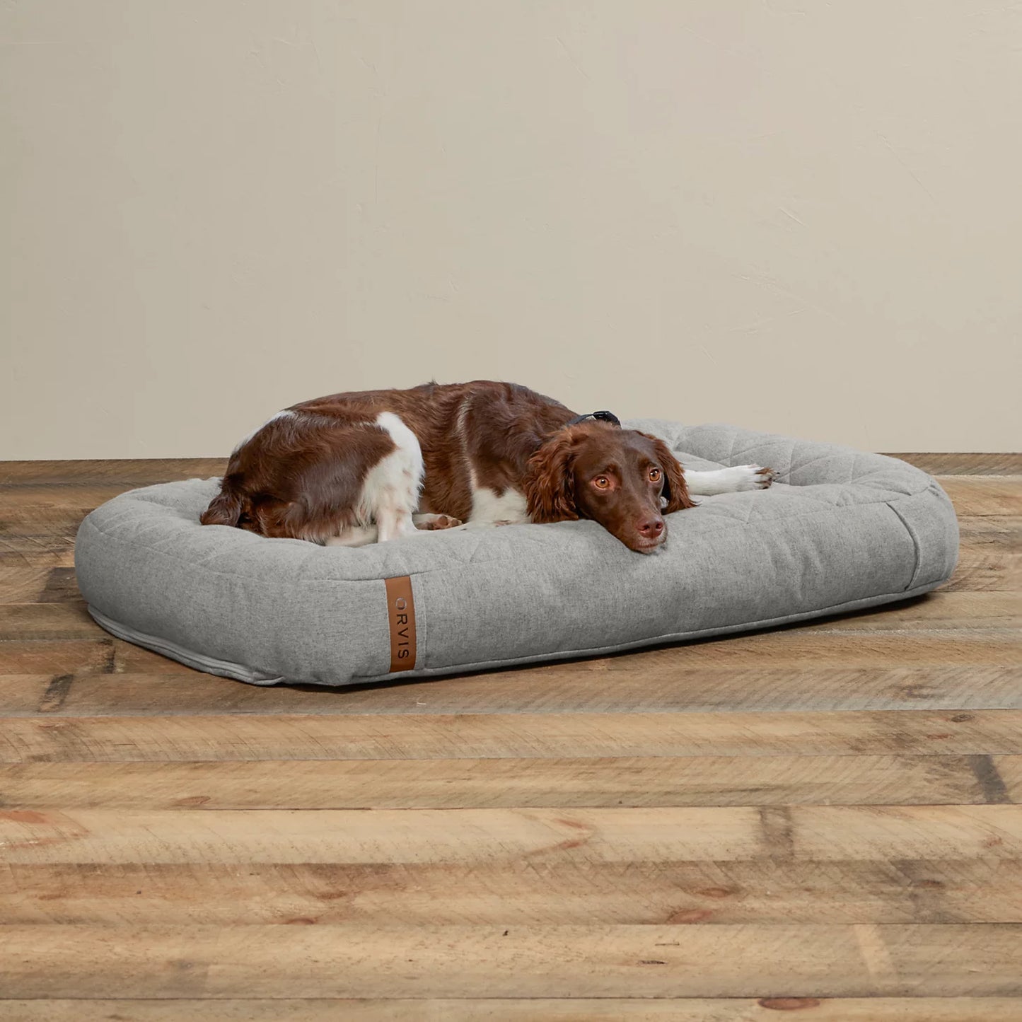 LIGHT GRAY,MEDIUM
