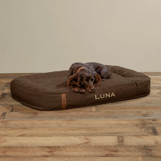 Orvis ToughChew® Memory Foam Lounger Dog Bed