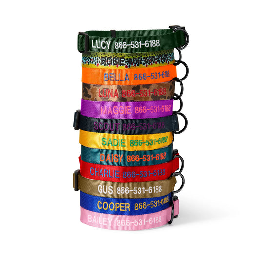Orvis Personalized Side-Release Buckle Collar