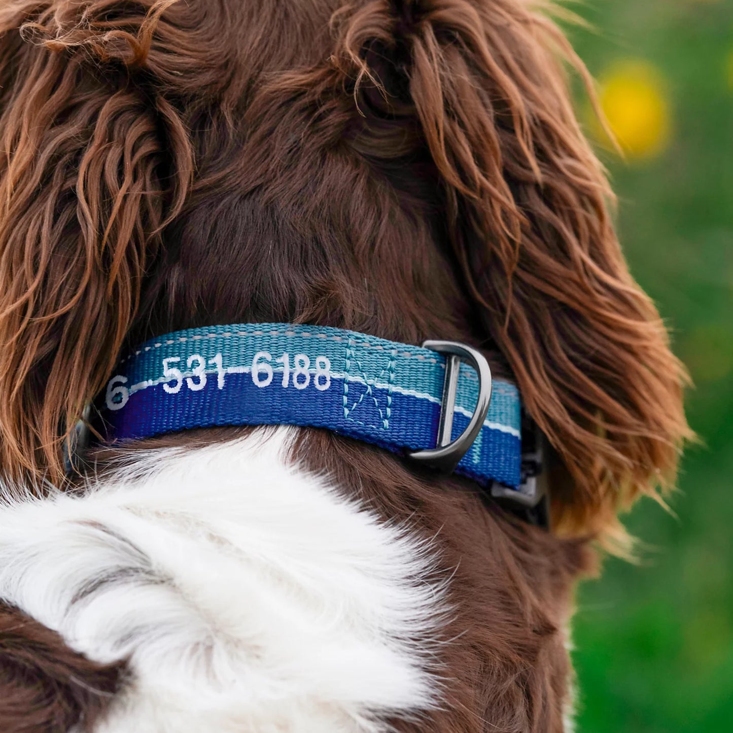 Orvis Tough Trail® Collar 2.0
