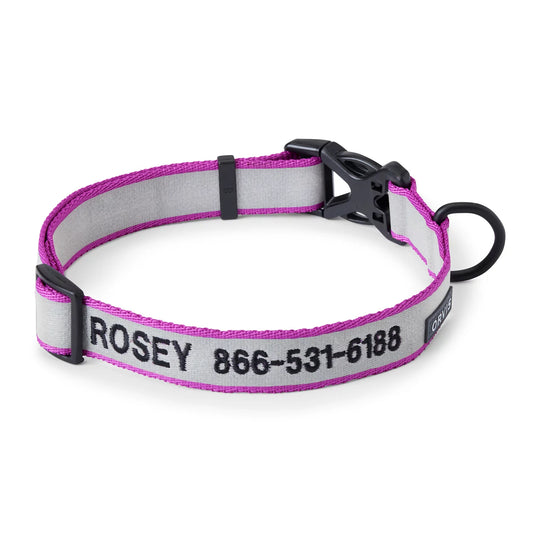 Orvis Orvis Personalized Reflective Dog Collar