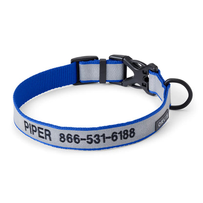Orvis Orvis Reflective Collar & Leash Bundle