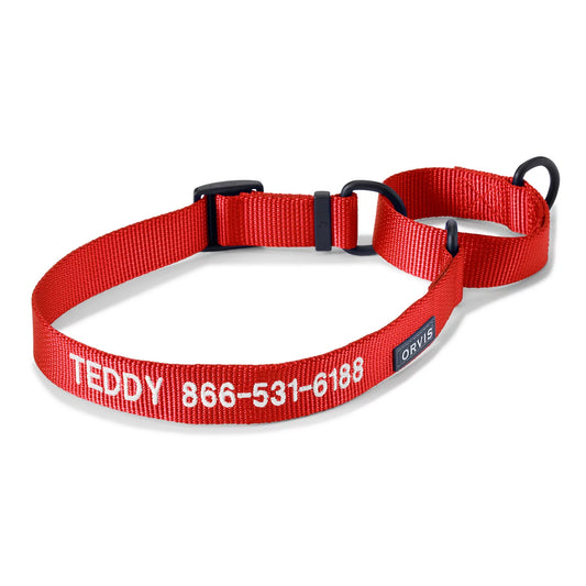 Orvis Orvis Martingale Collar & Leash Bundle
