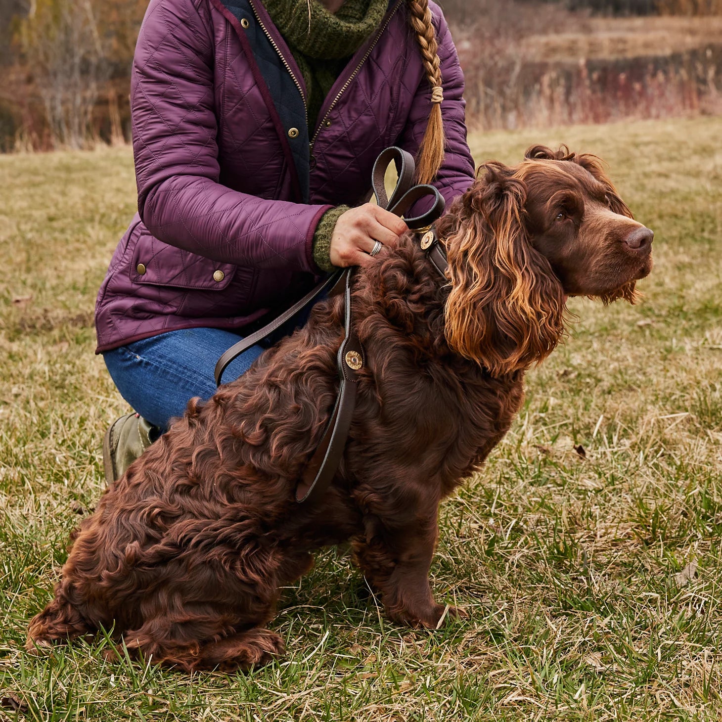 Orvis Shotshell Dog Collar