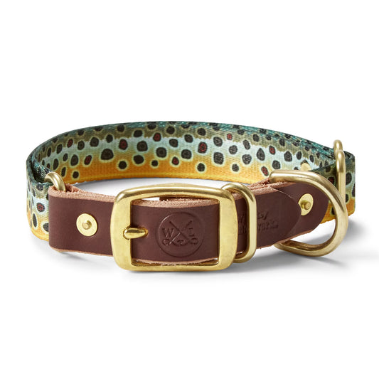 Orvis Whiskey Leatherworks Adjustable Collar
