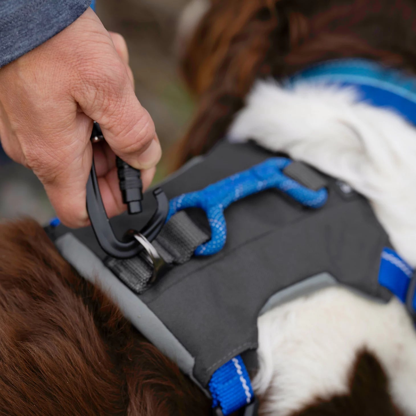 Orvis Tough Trail® Four-Point Dog Harness