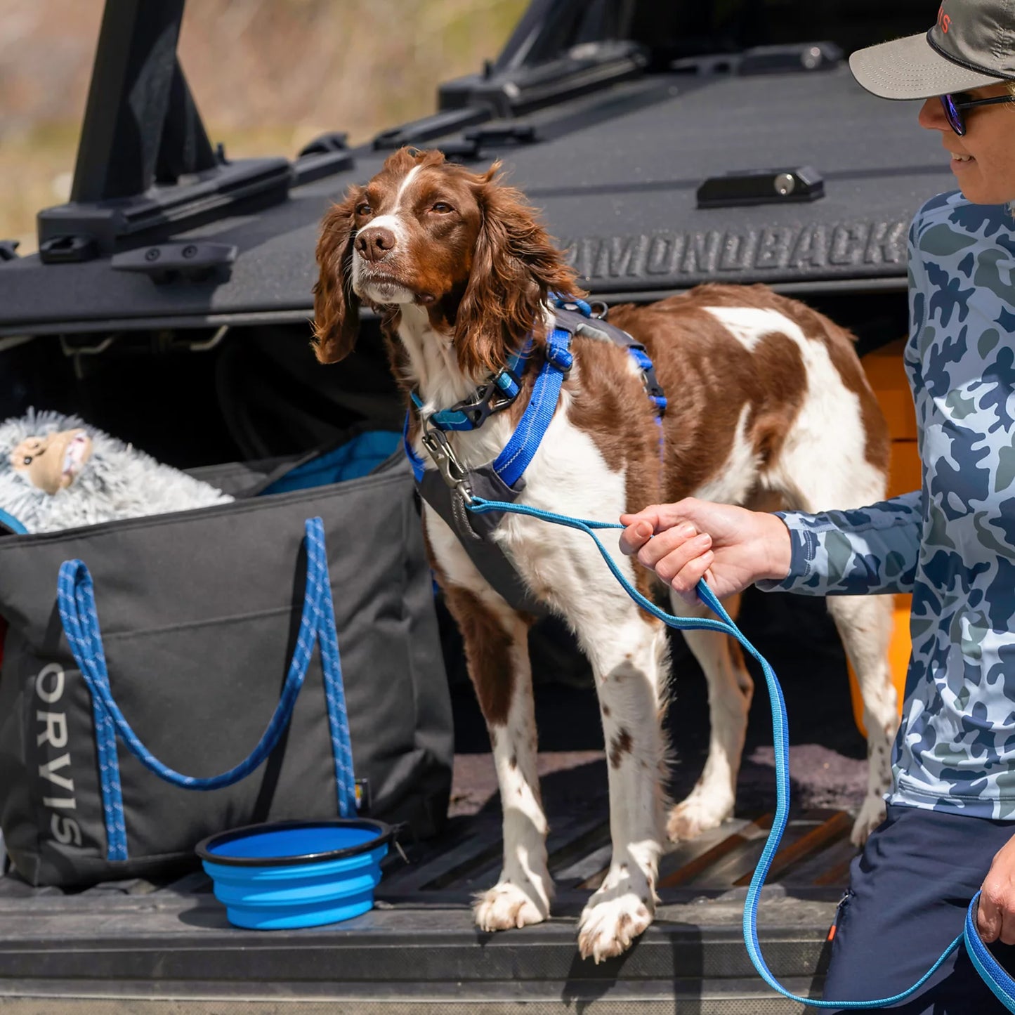 Orvis Tough Trail® Four-Point Dog Harness