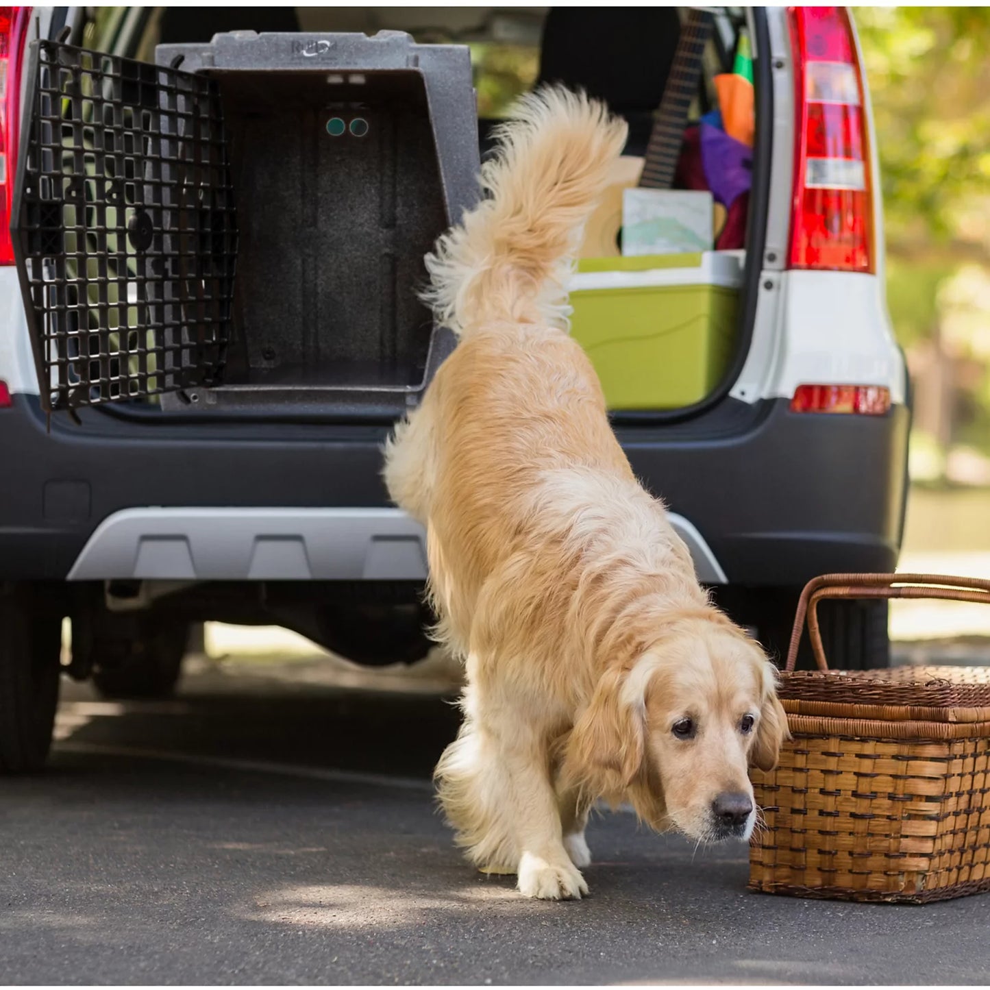 Orvis Ruff Land™ Performance Dog Kennel