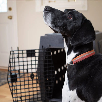 Orvis Ruff Land™ Performance Dog Kennel
