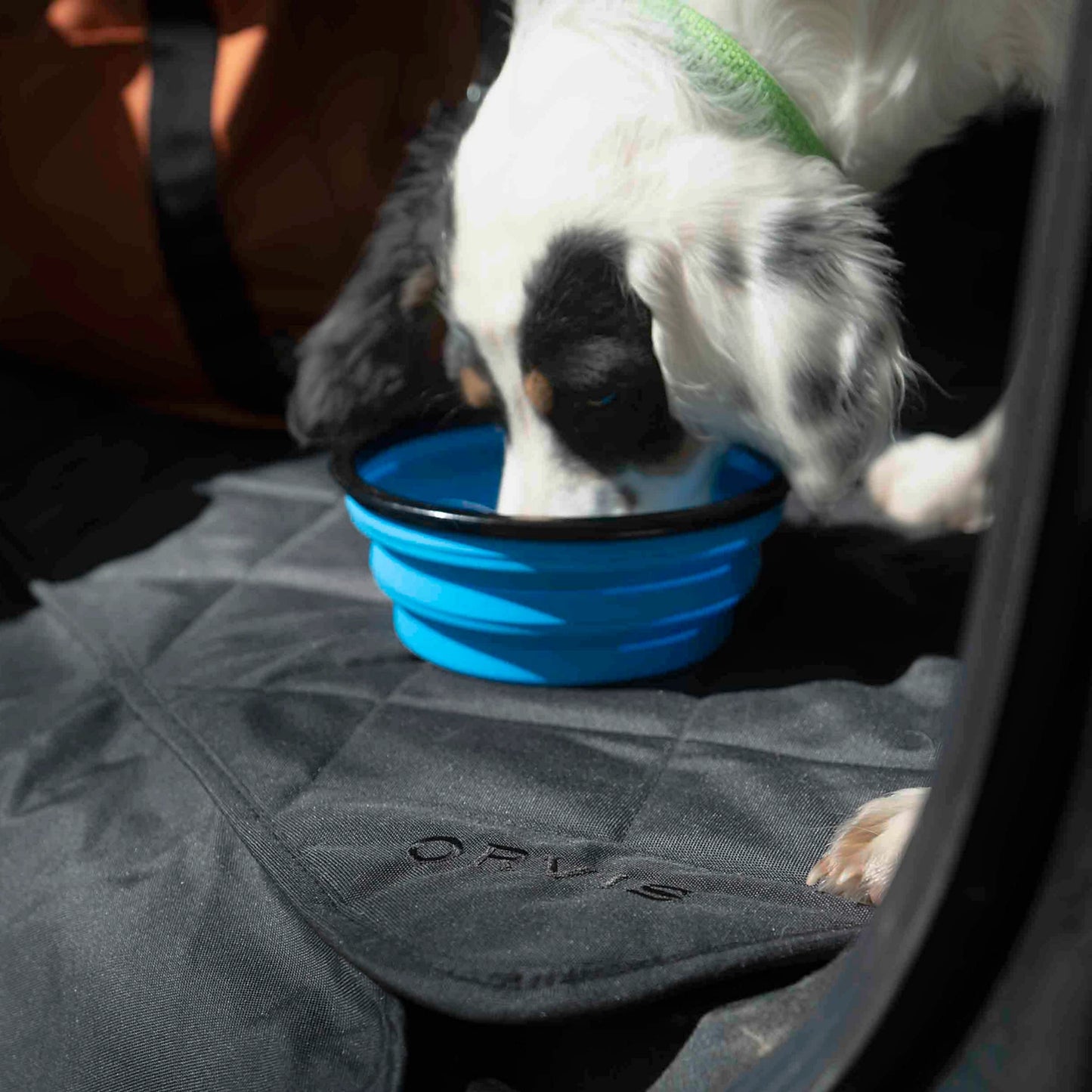 Orvis Tough Trail® Collapsible Dog Bowl