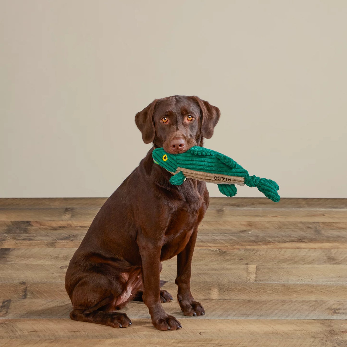 Orvis Animal Squeaky Toys