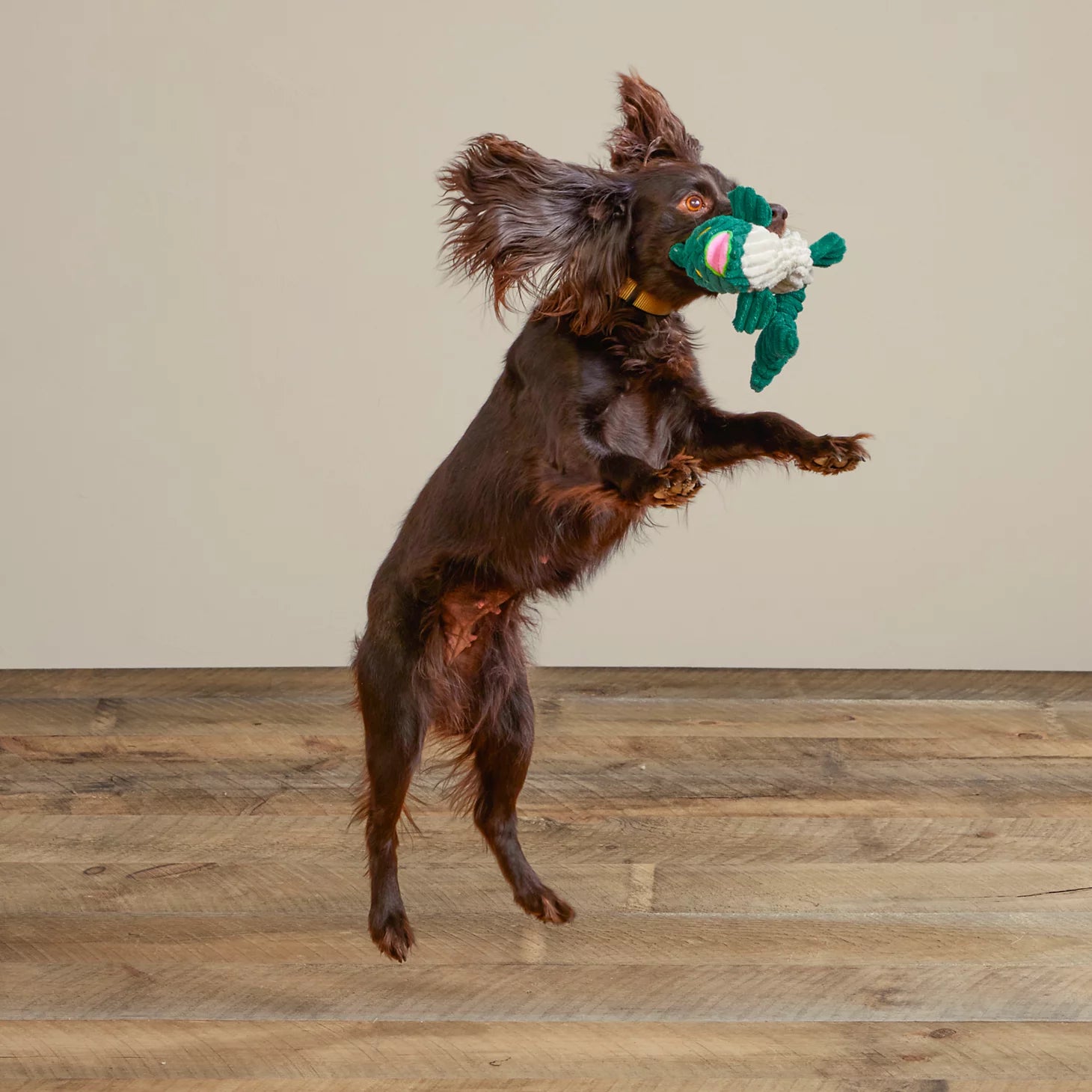 Orvis Animal Squeaky Toys
