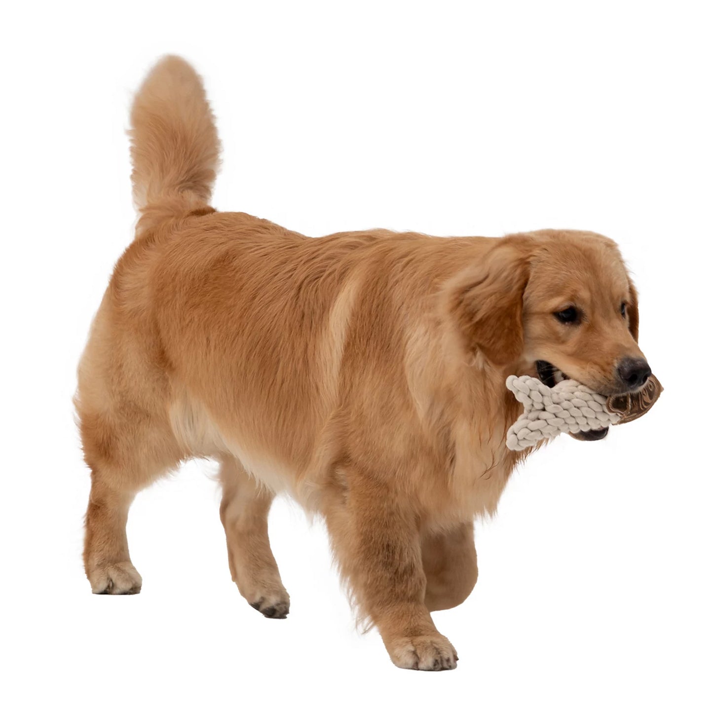 Orvis Rope Crunch Fish Dog Toy