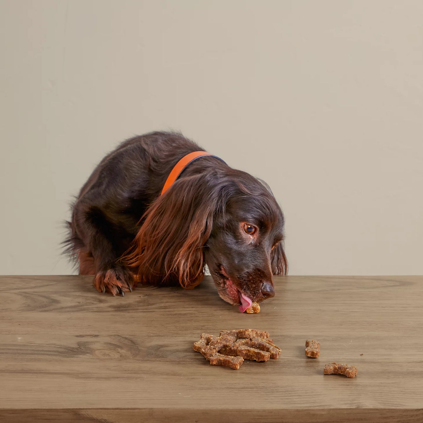 Orvis Polkadog Green Monstah Bones