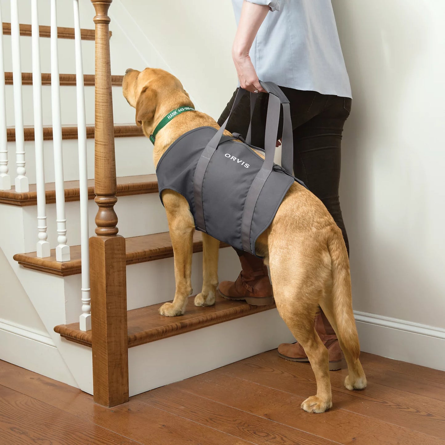 Orvis Dog Lift