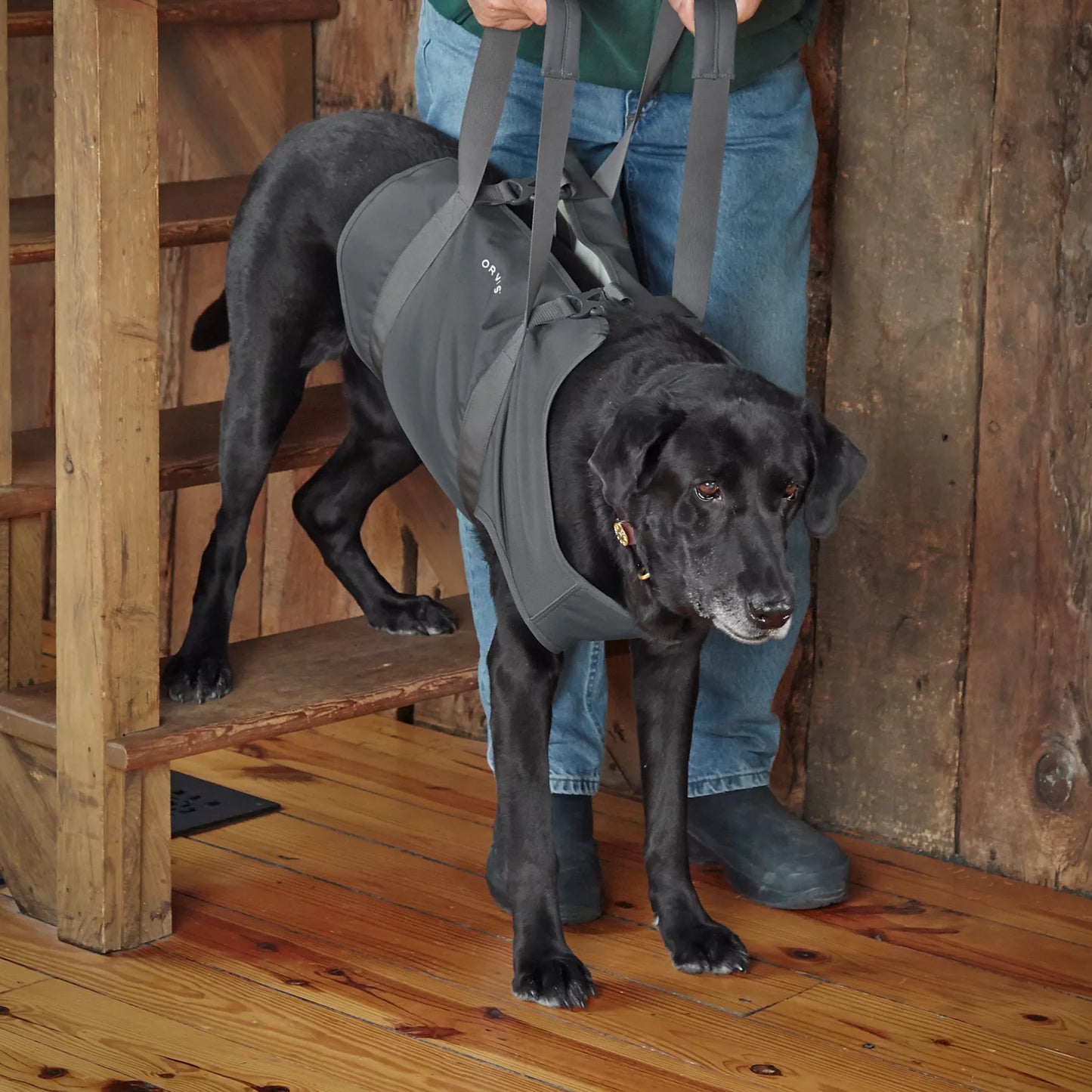 Orvis Dog Lift